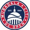 Теннисный турнир Mubadala Citi DC Open 2024