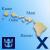 Гавайские круизы Royal Caribbean и Celebrity Cruises